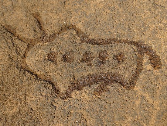 Prehistoric Rock Art Gallery