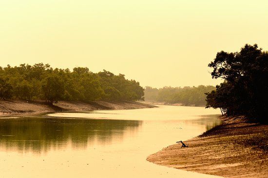 Visit Sunderbans- Take A Break Travels