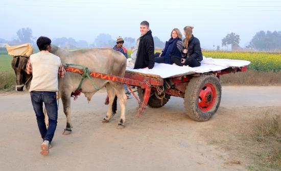 Vaanprastha Village Retreat