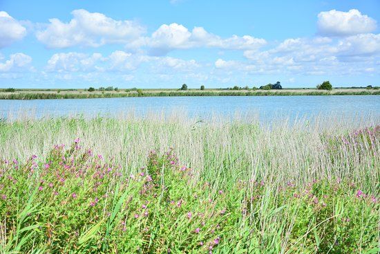 Vogelbeobachtungshutte am Leyhorn