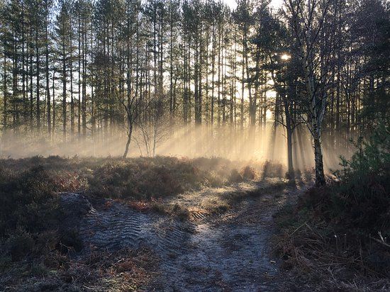 Avon Heath Country Park