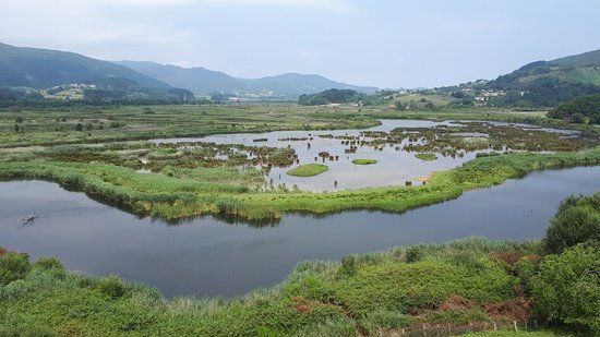 Urdaibai Bird Center