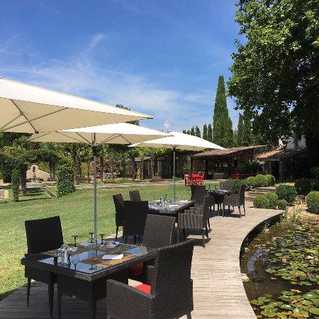 Le Platane et sa Terrasse Perchee