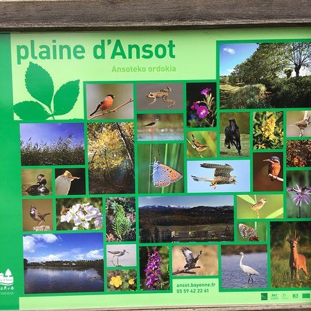 Le Museum D'histoire Naturelle de la Plaine d'Ansot