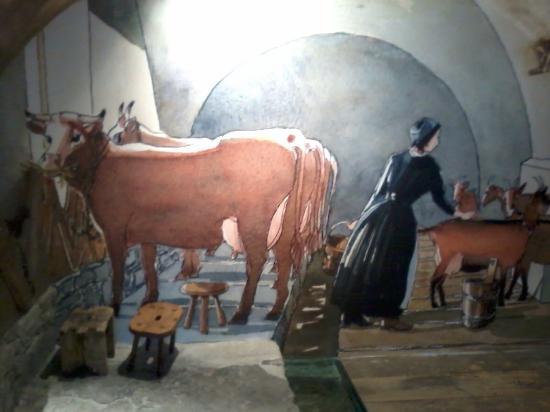 The Belleville Museum