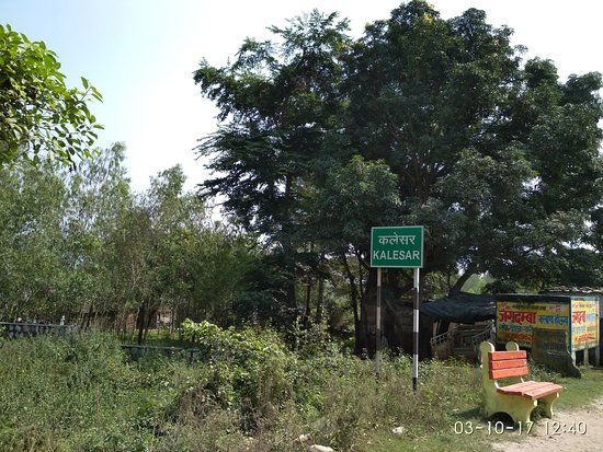 Kalesar Wildlife Sanctuary