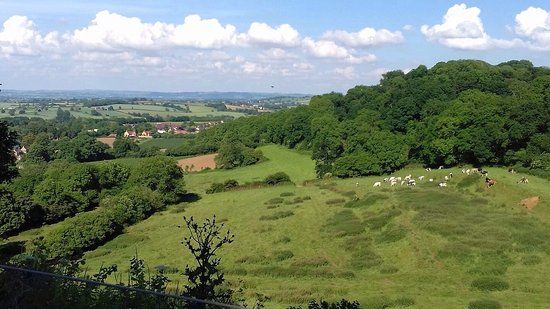 Ham Hill Country Park