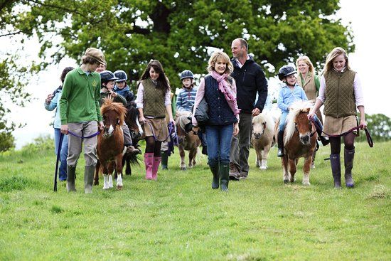 Shetland Pony Club