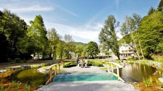 Landschaftstherapeutischer Park Romerkessel