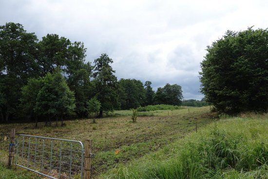 Fuglereservat Vaserne