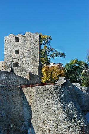 Severin Medieval Fortress