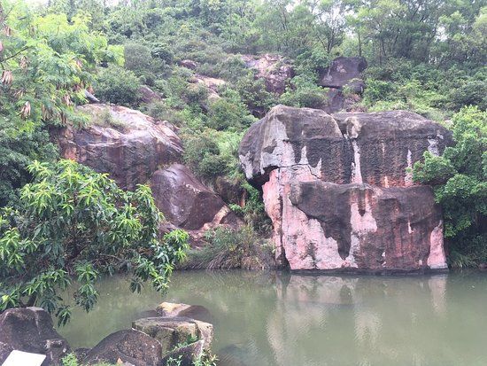 Stone Exposition Park