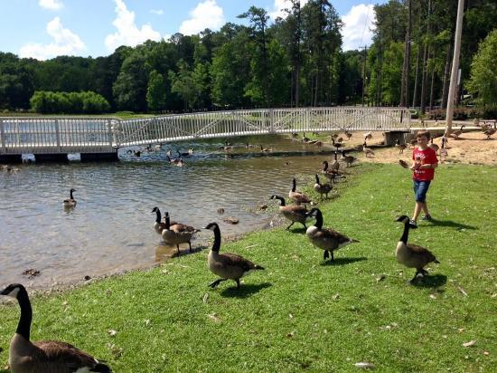 Sportsman Lake Park