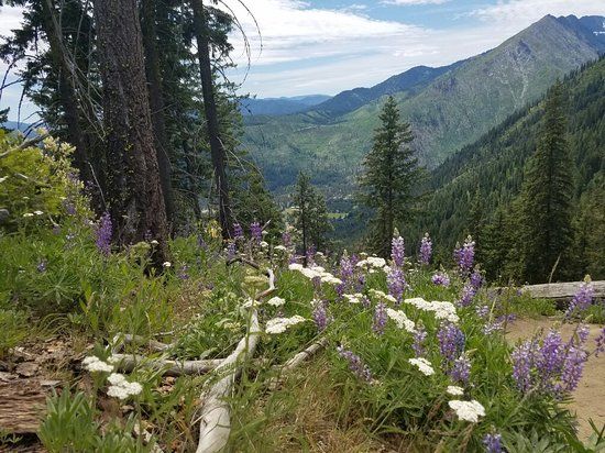 Icicle Ridge Trail
