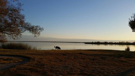 Buena Vista Aquatic Recreation Area