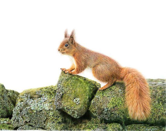 Stacey Moore Art Gallery