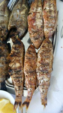 Kostas Miriounis Fish Tavern