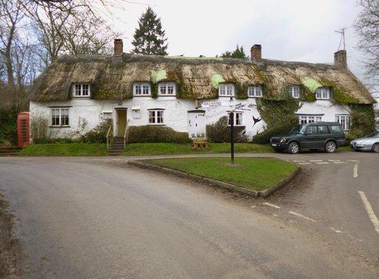 The Brace of Pheasants