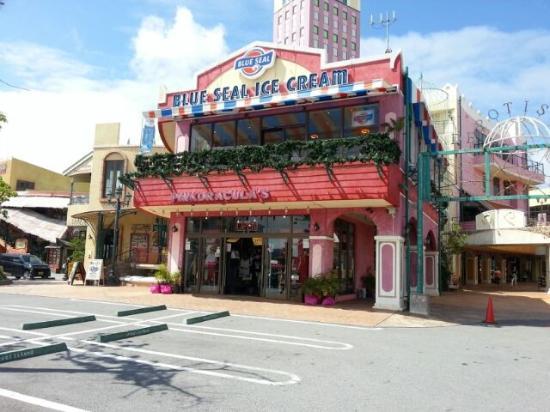 BLUE SEAL Depot Island