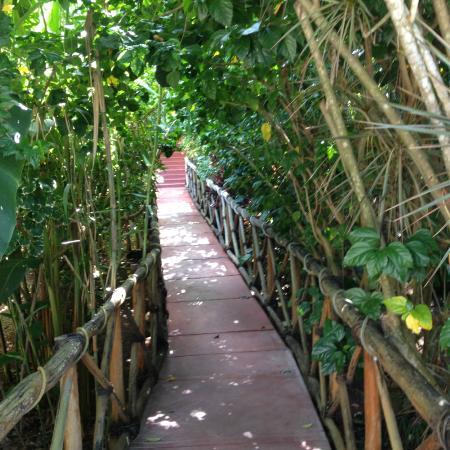 Xoco Loco Restaurante y Bar