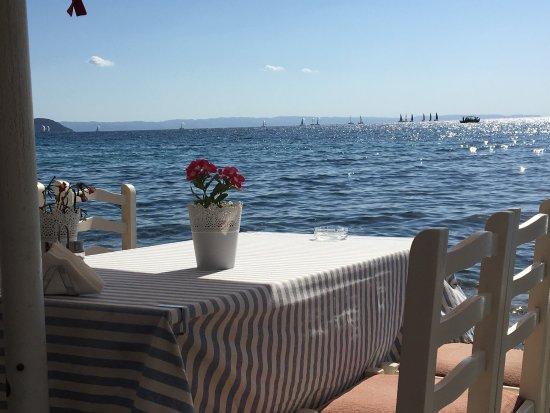 To Simadi Fish Tavern Restaurant