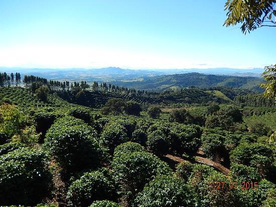 Rota do Cafe Especial