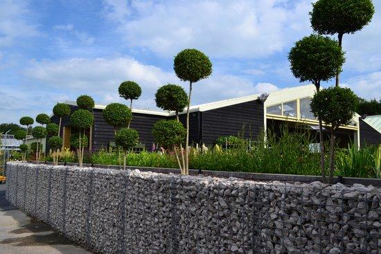 Belle and Joes at Timmermans