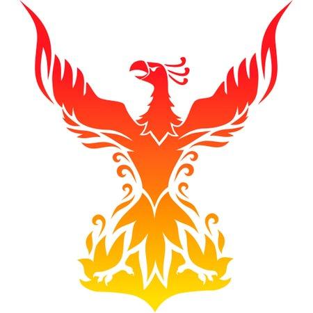 Phoenix Chinese Takeaway