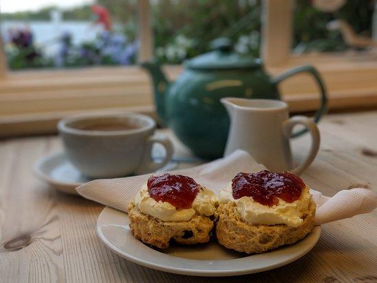 The Meare Shop and Tearoom