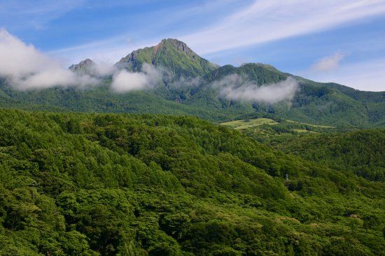 Yatsugatake Kogen Bridge
