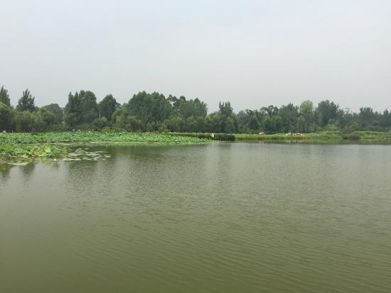 Bailuwan Ecological Wetland Park