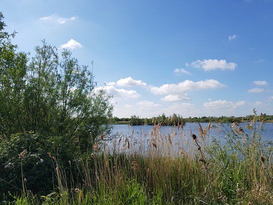RSPB Fen Drayton Lakes