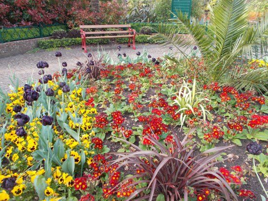 Garden of Reflection