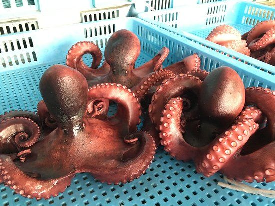 Gamagori Kaisen Ichiba