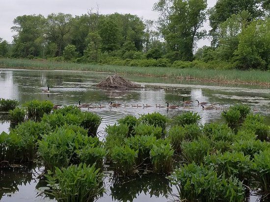 Fannie Stebbins Memorial Wildlife Refuge