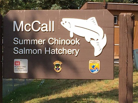 McCall Fish Hatchery