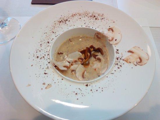 Cenetta Barba