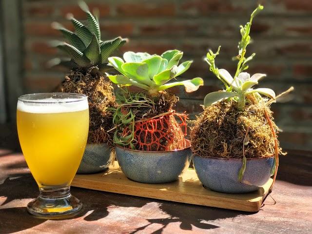 San Juan Del Sur Cerveceria