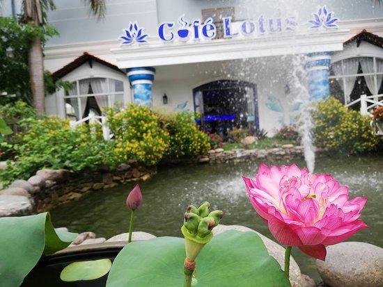Cafe Lotus Ninh Kieu