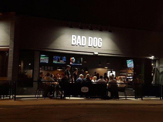 Bad Dog Bar & Grill