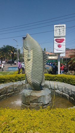 Samaki Corner