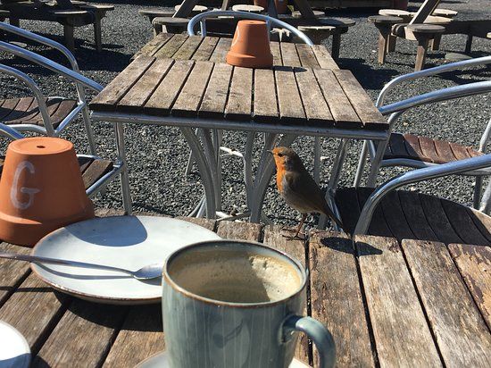 Ashton Hall Garden Centre