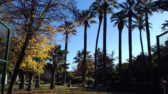 Jardins del Palau Falguera
