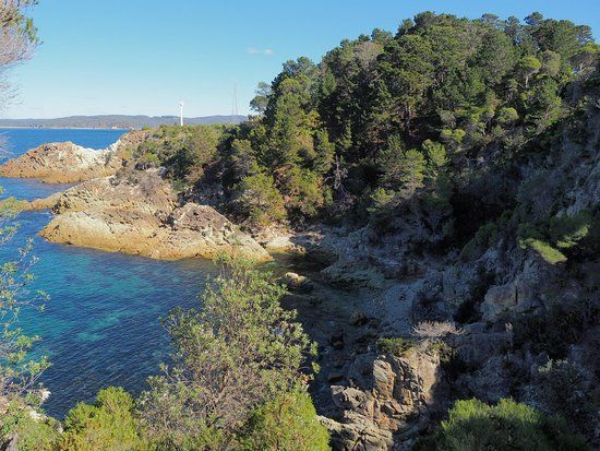 Eden Lookout and Rotary Park