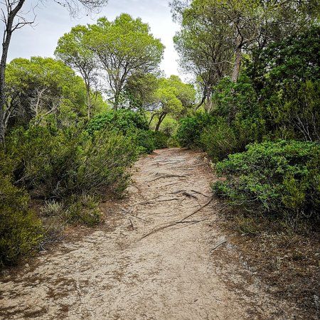 Parque Nordic Walking