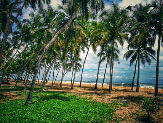 Padinjarekkara Beach