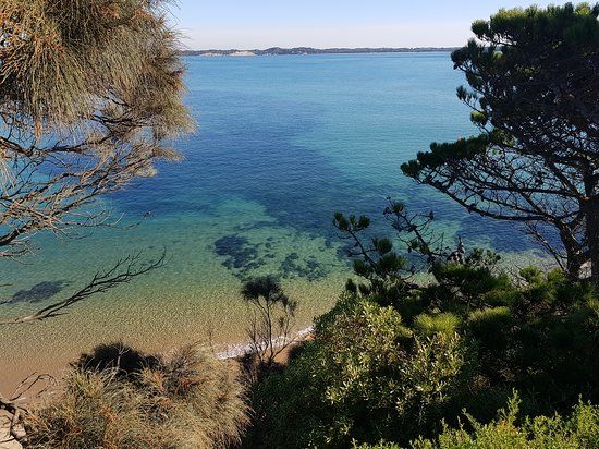 Anderson to San Remo Shared Pathway