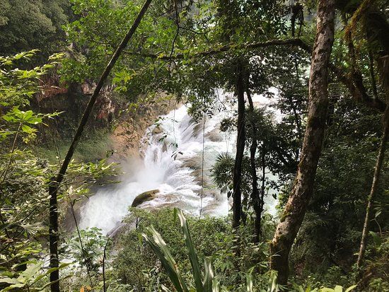 Centro Ecoturistico Causas Verdes Las Nubes