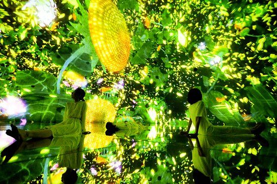 teamLab Planets TOKYO