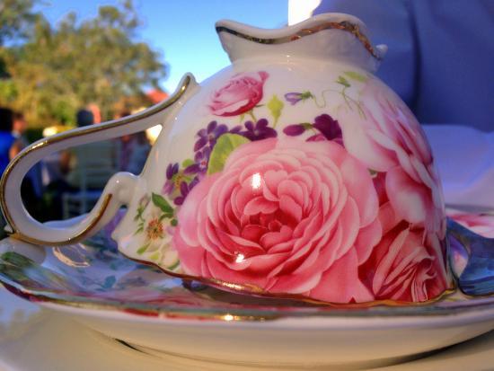 Woodlands of Marburg